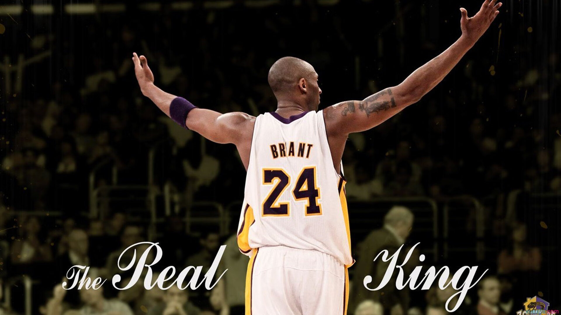 职业球队运营理念与现代趋势脱节，球队运营模式