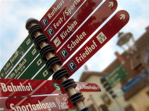 高校运动健康管理系统试点上线，高校健康体测系统