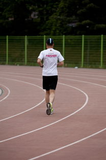 高校运动训练效果科学评估研究，运动训练高校排名